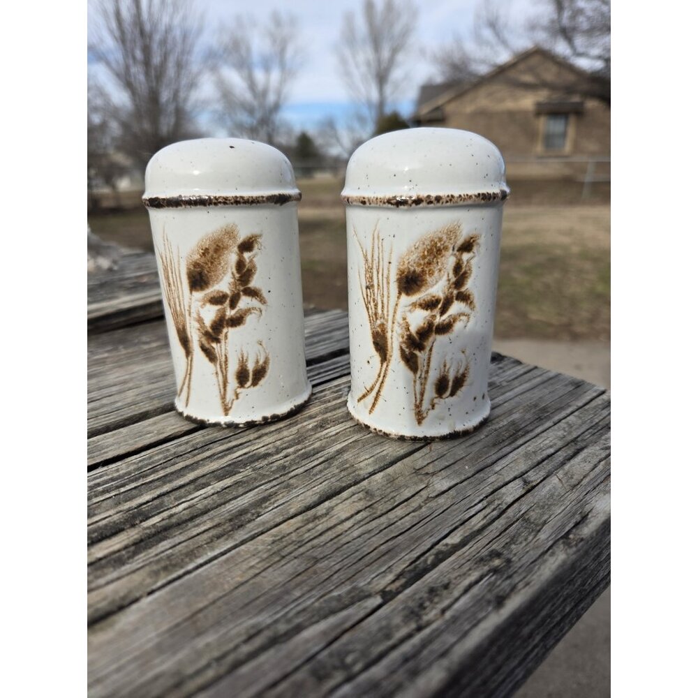 Vinatge W R Midwinter Pottery Stonehenge Wild Oats Salt & Pepper Shaker Set 3/5‎